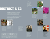 Peter Drake District &  Co